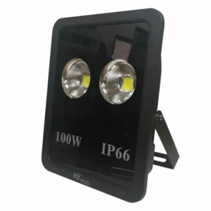 den led pha ngoai troi ptv chipled cob cong suat 100w dptvc100 1.webp
